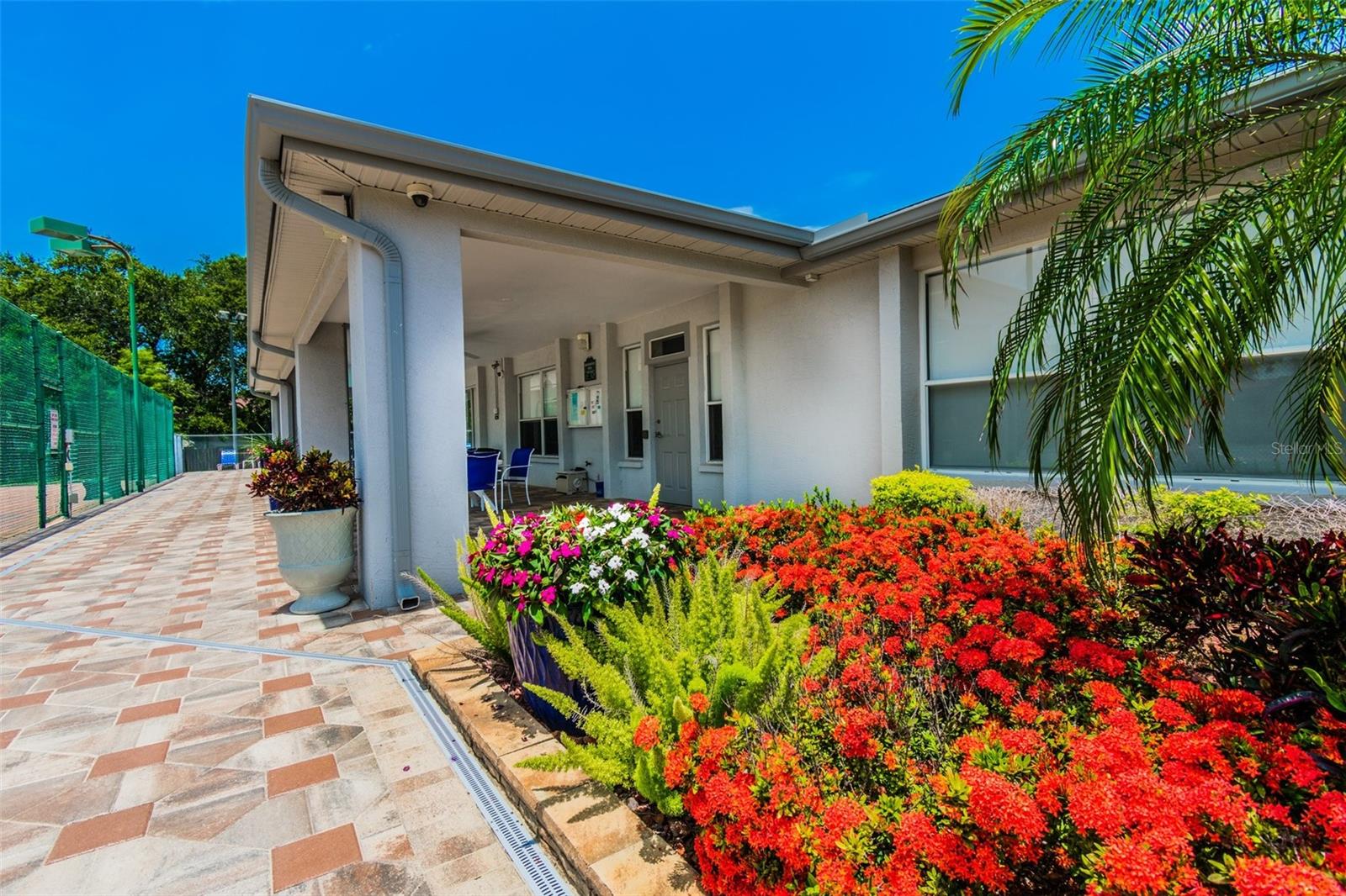 2586 PINE COVE LN, CLEARWATER, FL — photo 38