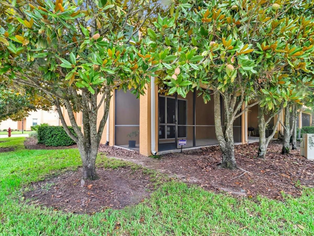 13901 RIVER WILLOW PL, TAMPA, FL — photo 20