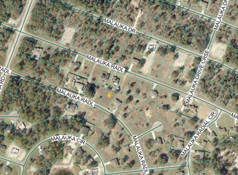 MALAUKA RADIAL, OCKLAWAHA, FL — photo 3