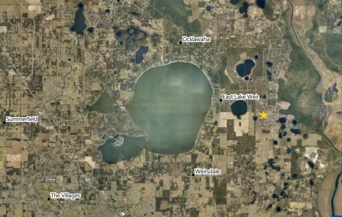 MALAUKA RADIAL, OCKLAWAHA, FL — photo 5