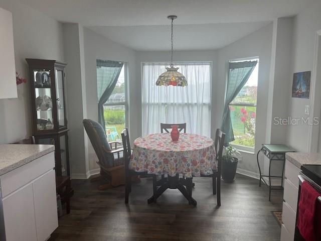 2404 LEMA DR, SPRING HILL, FL — photo 17