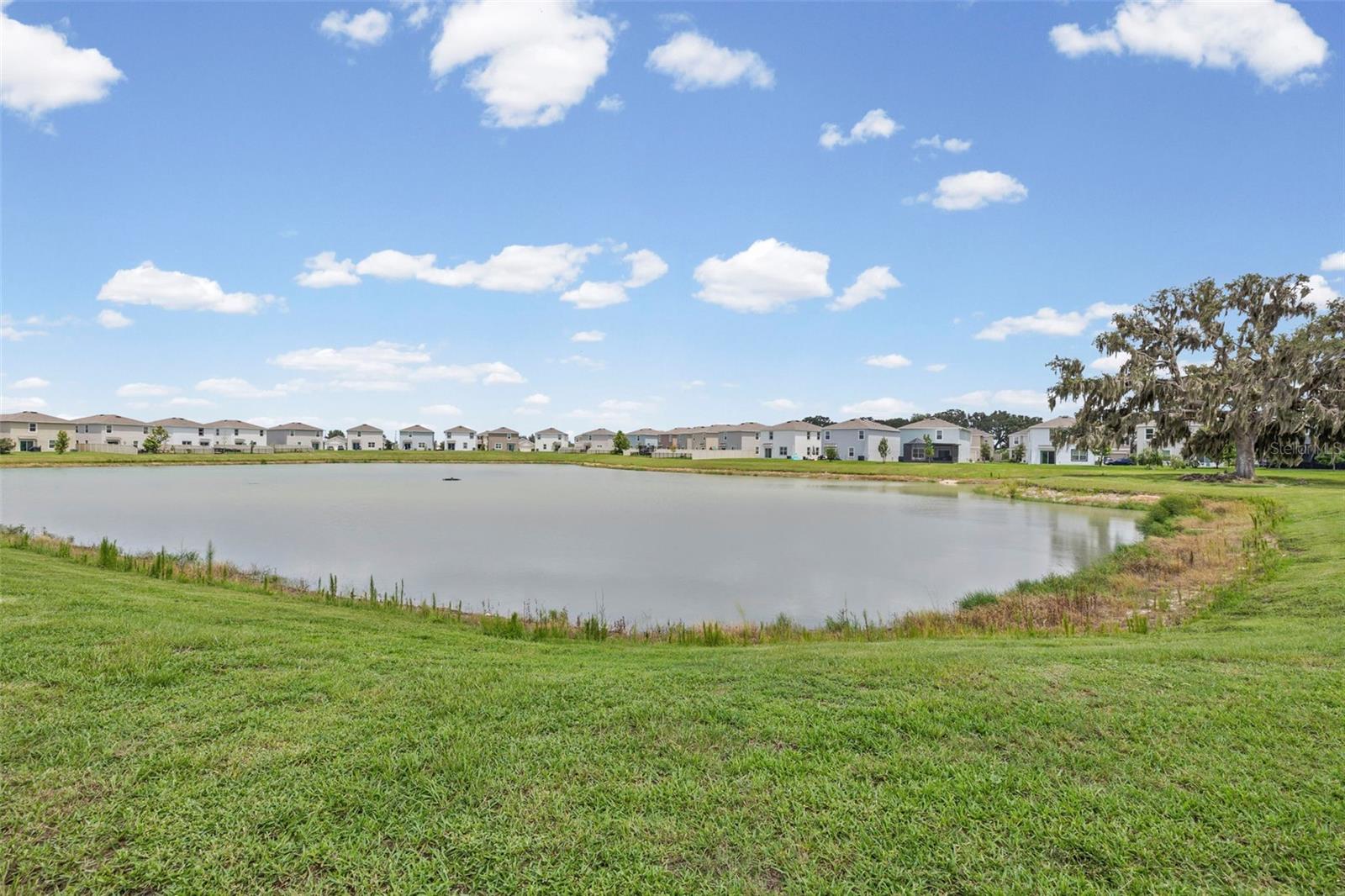 10914 PENNY GALE LOOP, SAN ANTONIO, FL — photo 25