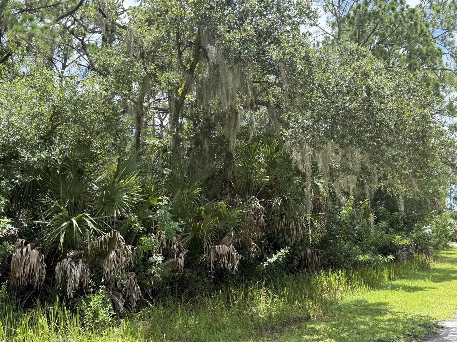 BADALI RD, NORTH PORT, FL — photo 3