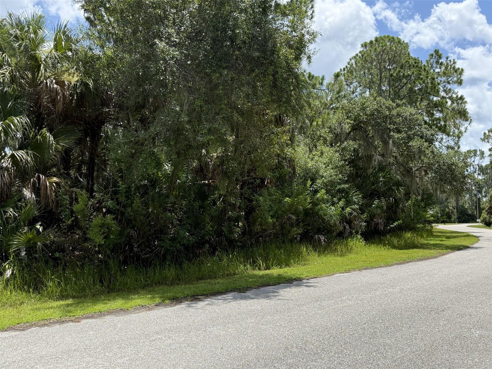 BADALI RD, NORTH PORT, FL — photo 5