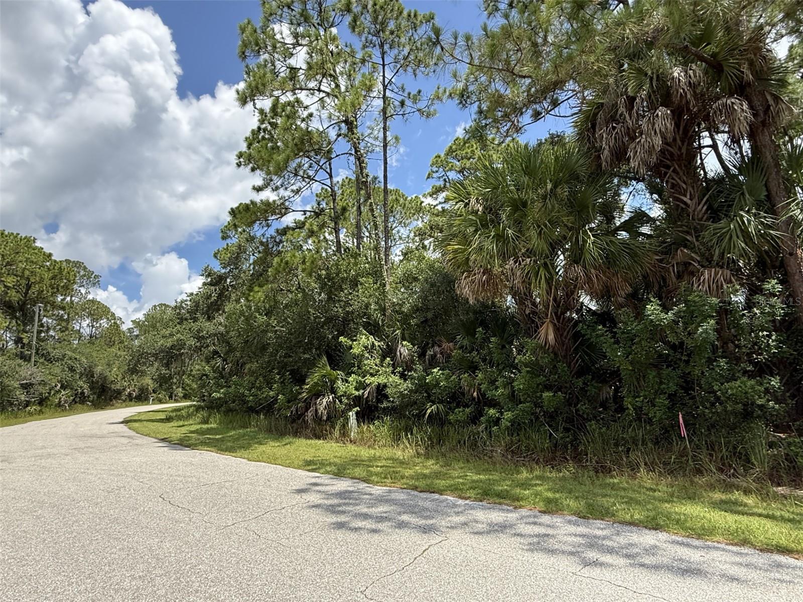 BADALI RD, NORTH PORT, FL — photo 6