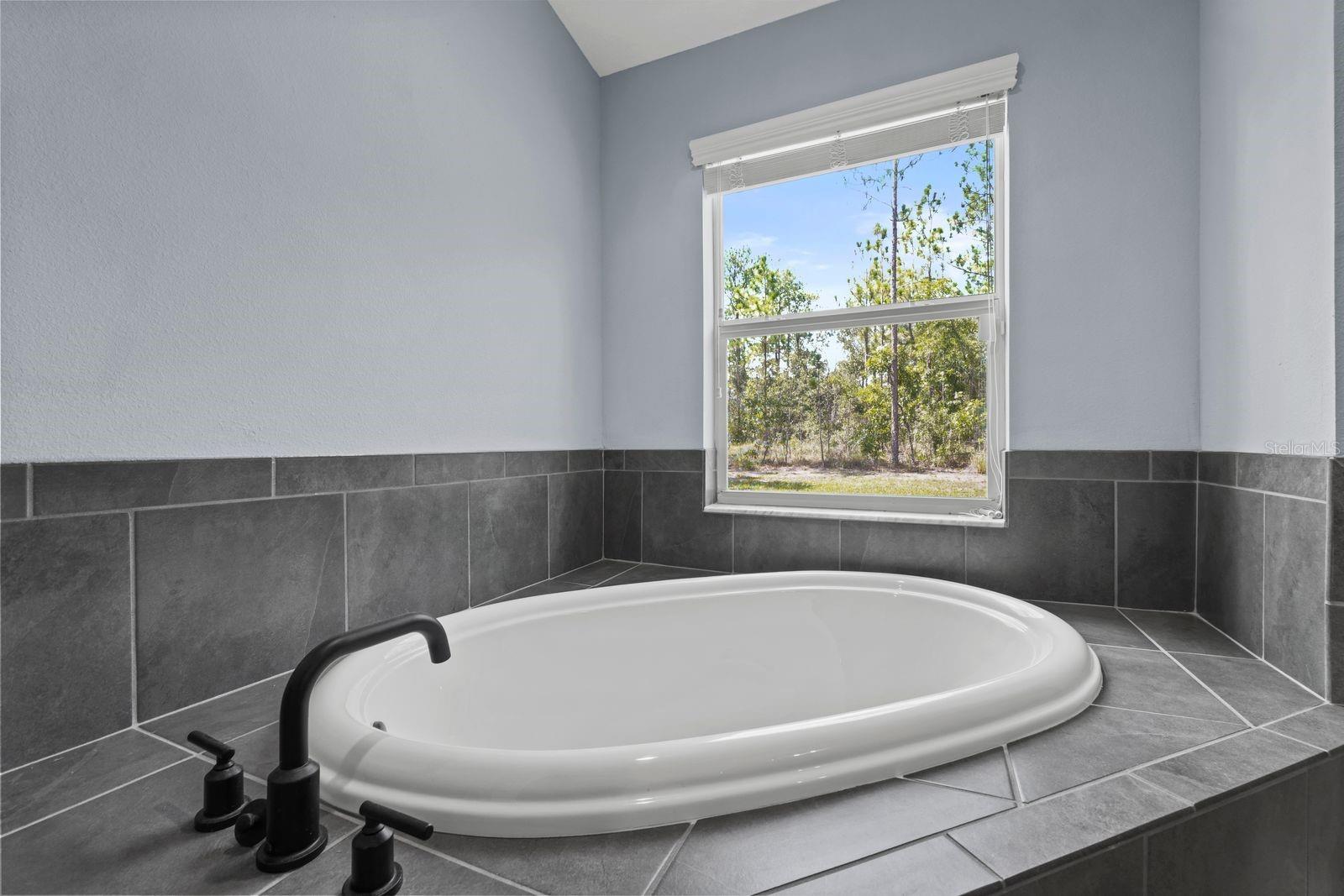 13218 BARNEVELDE RD, WEEKI WACHEE, FL — photo 18