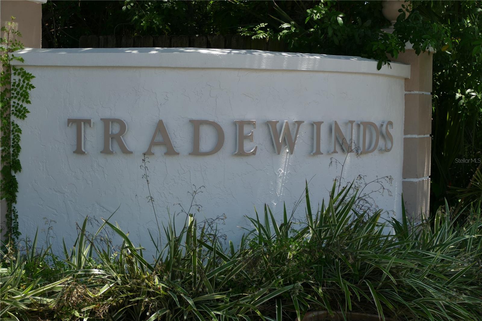 205 S MCMULLEN BOOTH RD #203, CLEARWATER, FL — photo 4