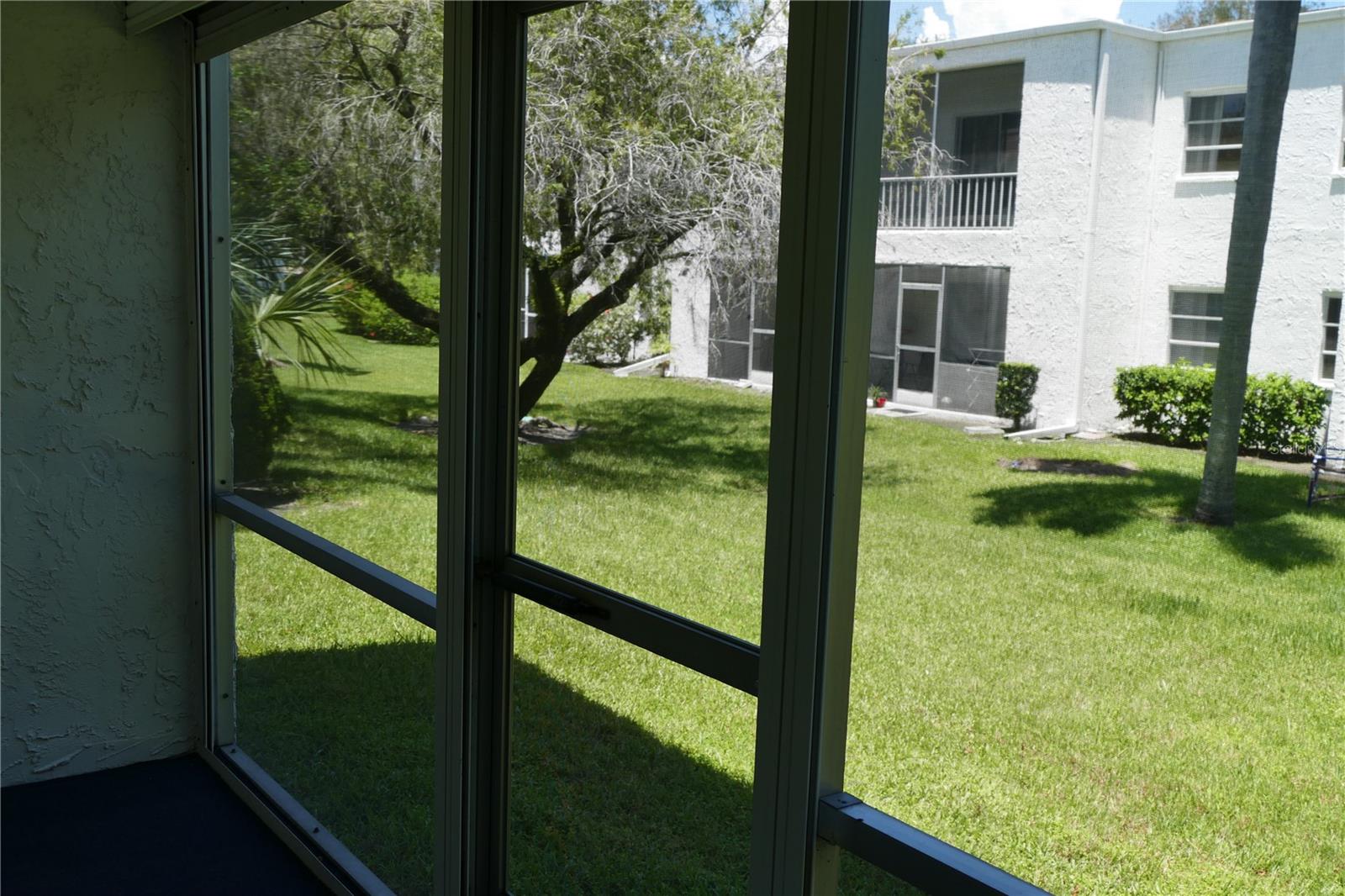 205 S MCMULLEN BOOTH RD #203, CLEARWATER, FL — photo 11