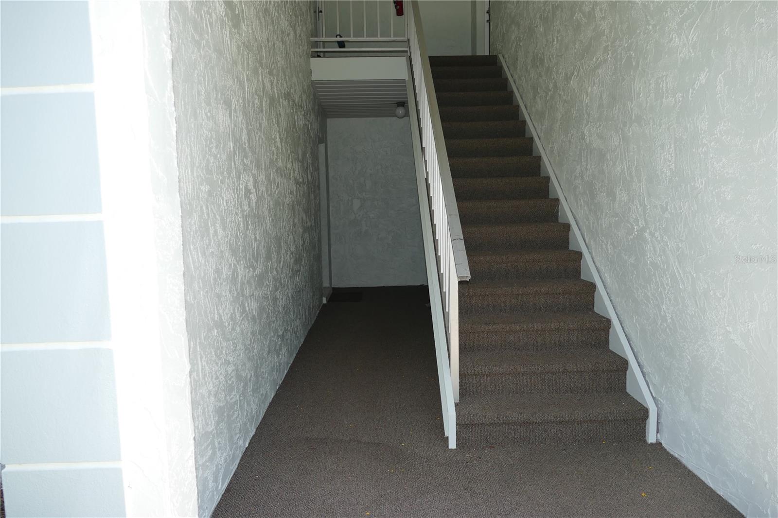 205 S MCMULLEN BOOTH RD #203, CLEARWATER, FL — photo 28