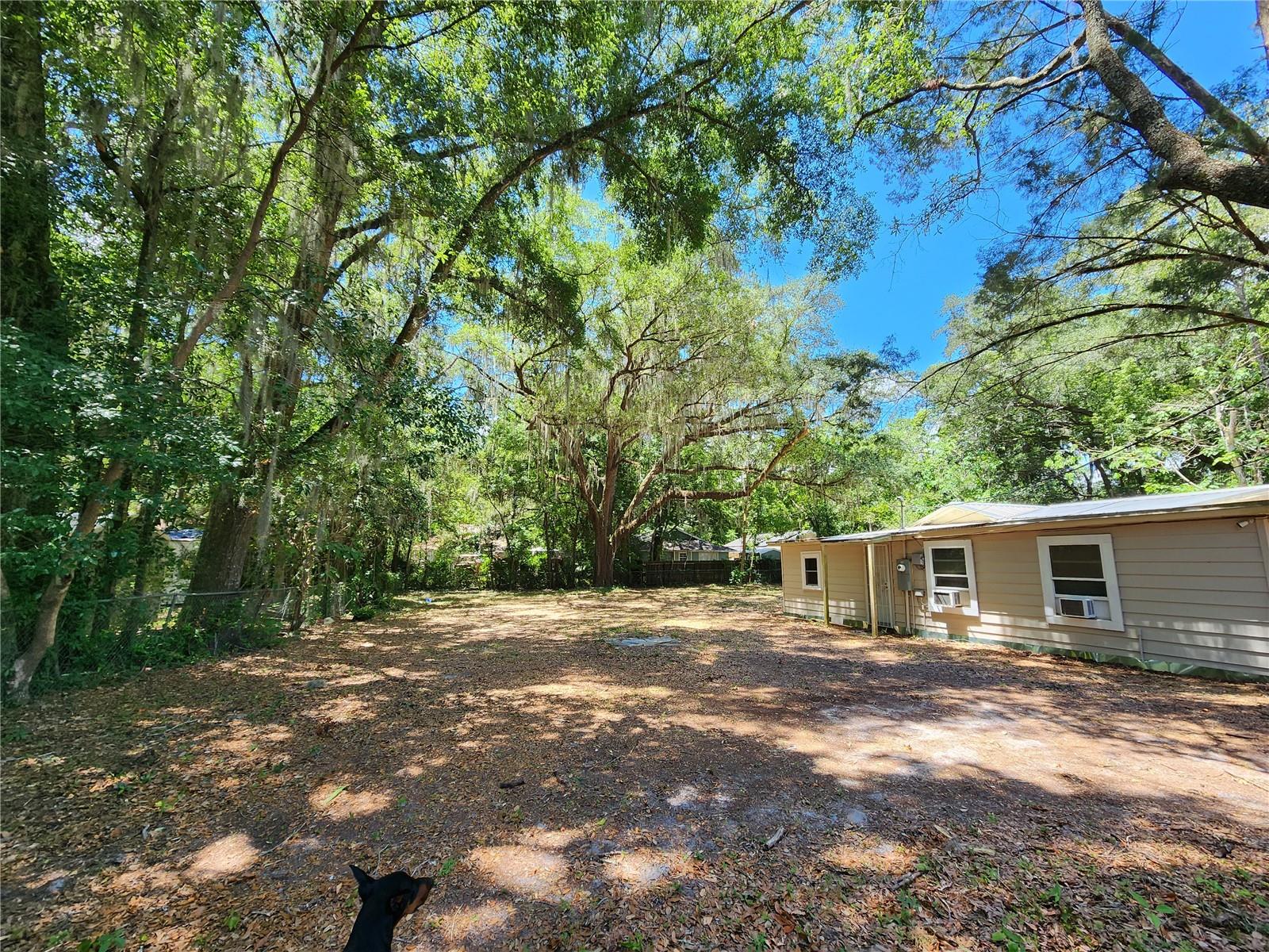 1623 SE 3 AVE, GAINESVILLE, FL — photo 4