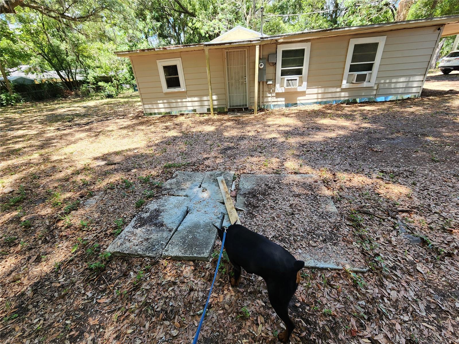 1623 SE 3 AVE, GAINESVILLE, FL — photo 6