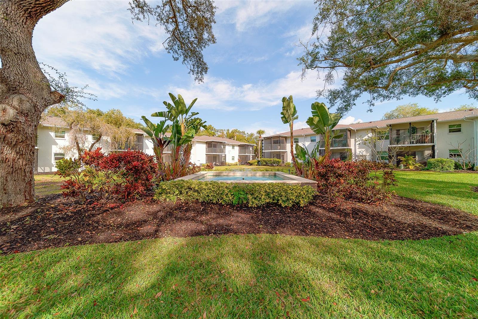 13125 WILCOX RD #16105, LARGO, FL — photo 52