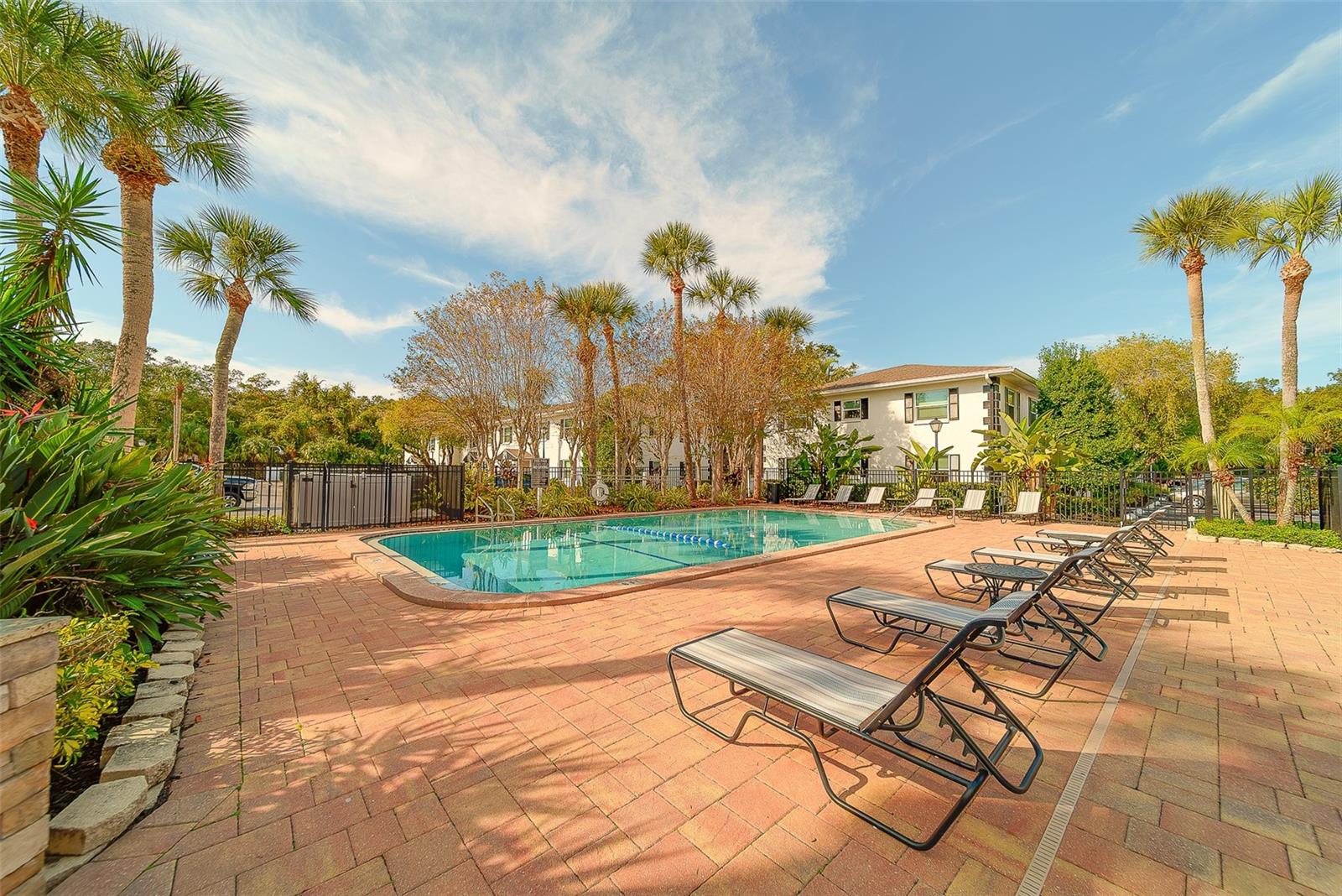 13125 WILCOX RD #16105, LARGO, FL — photo 57
