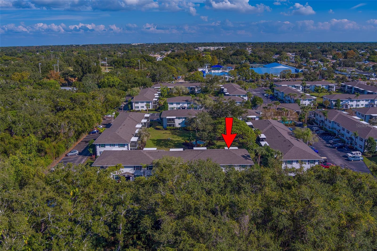13125 WILCOX RD #16105, LARGO, FL — photo 61