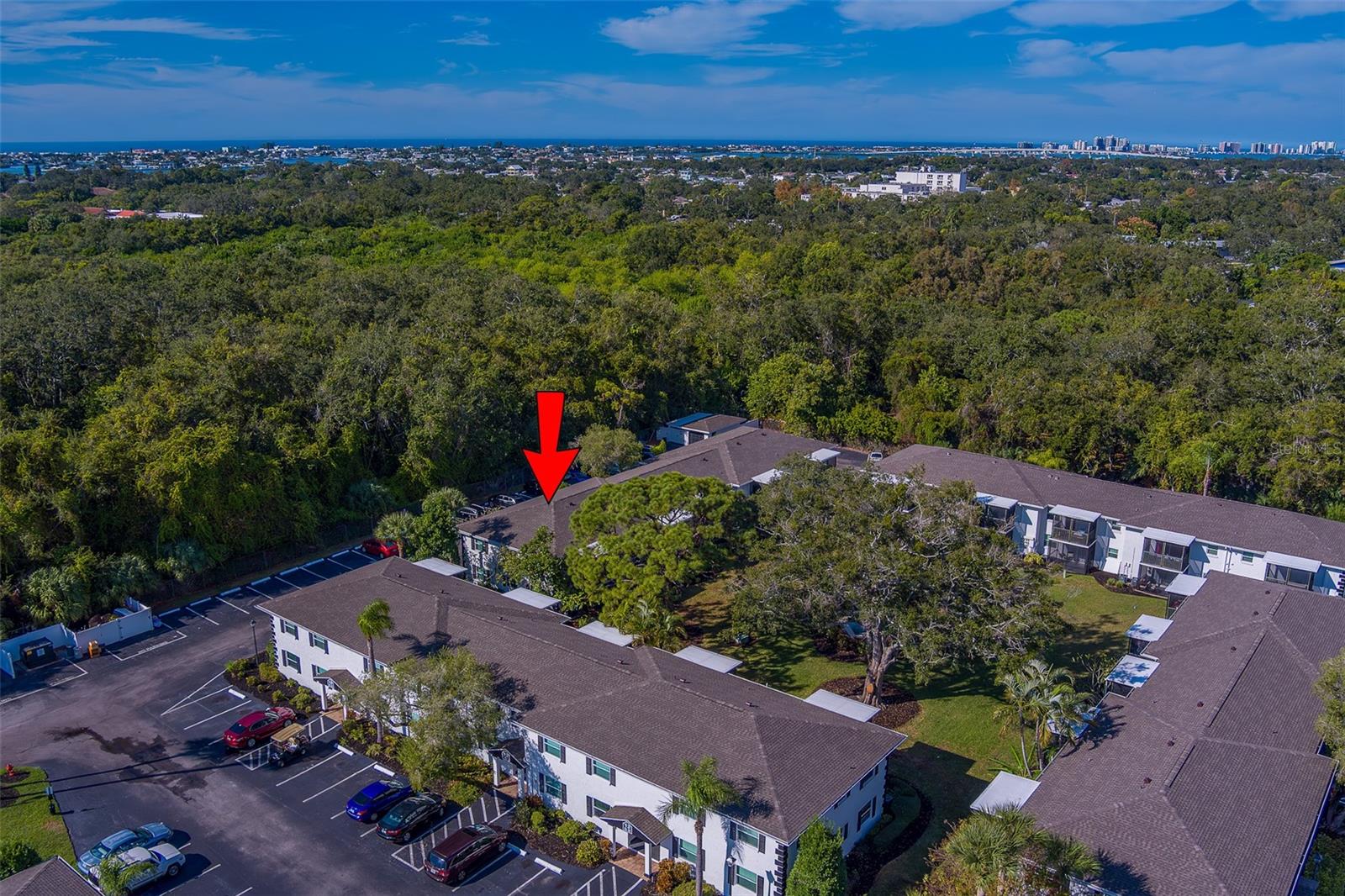13125 WILCOX RD #16105, LARGO, FL — photo 62