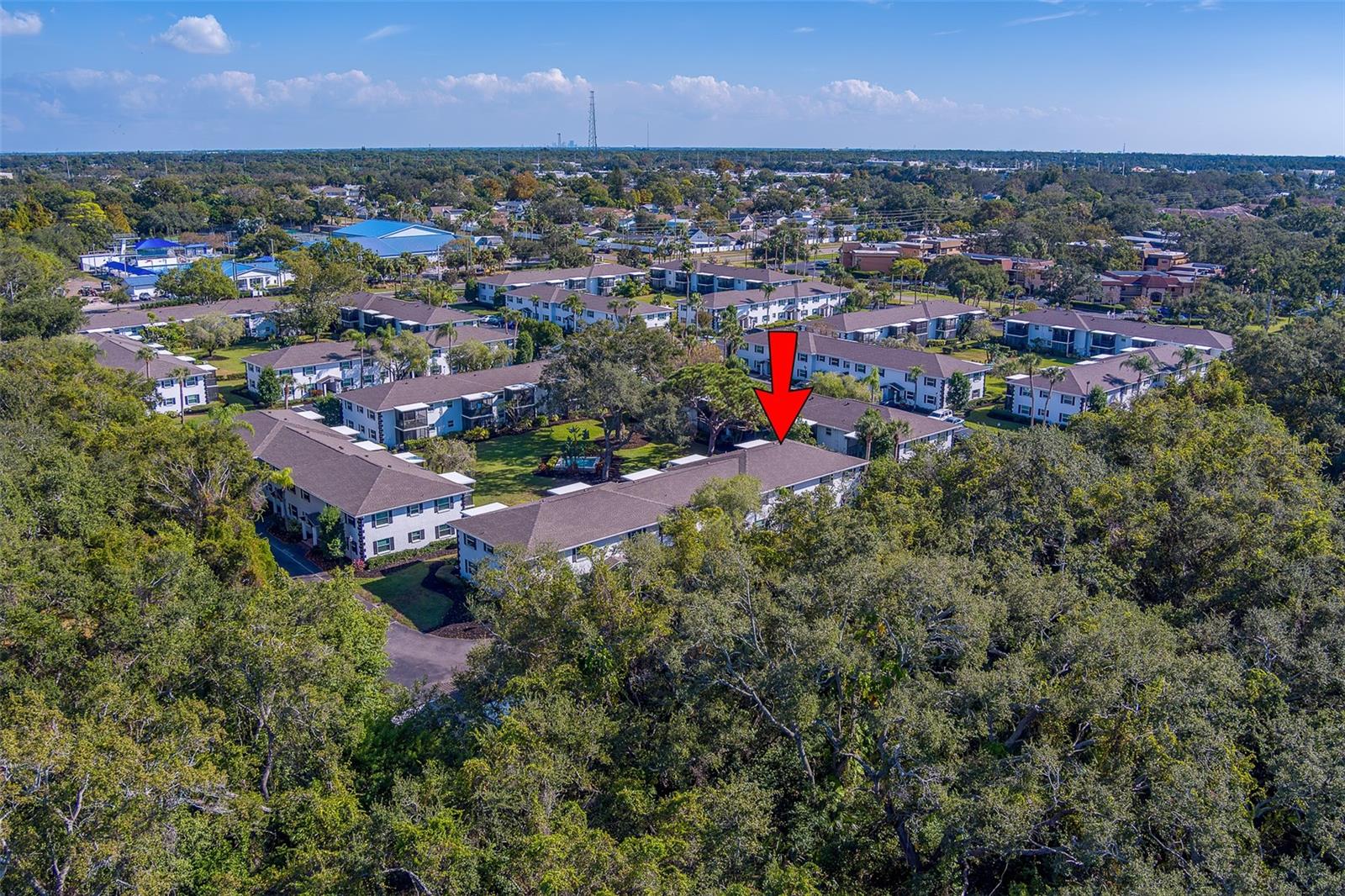 13125 WILCOX RD #16105, LARGO, FL — photo 63