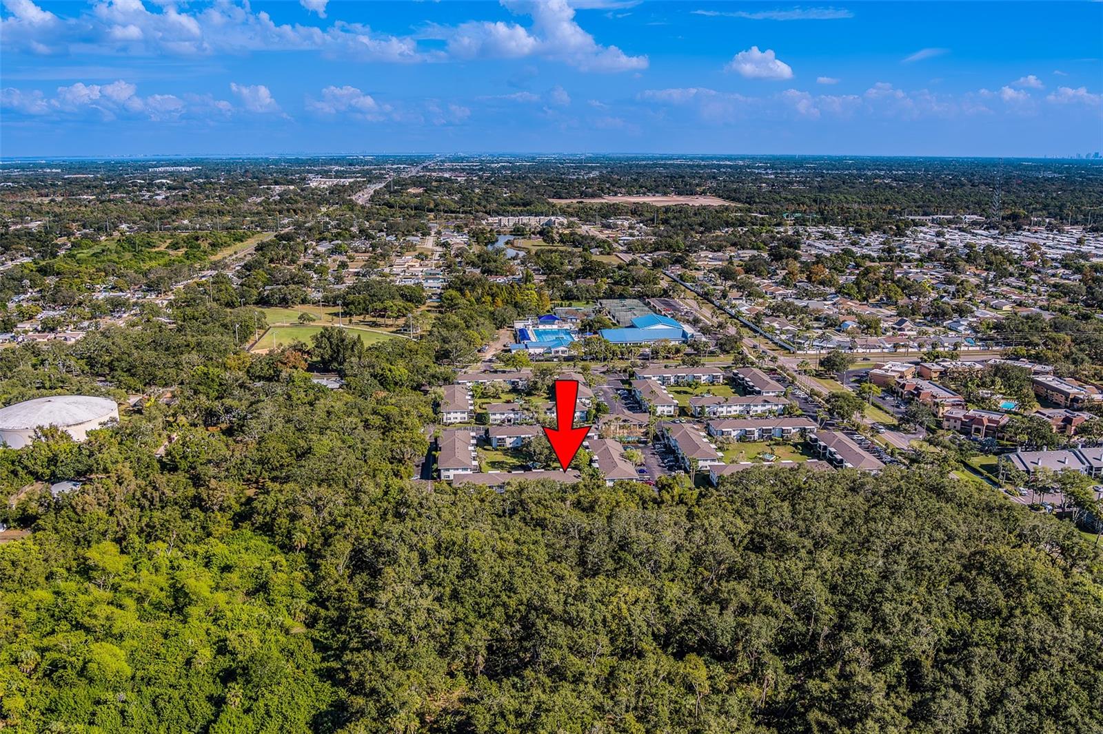 13125 WILCOX RD #16105, LARGO, FL — photo 64