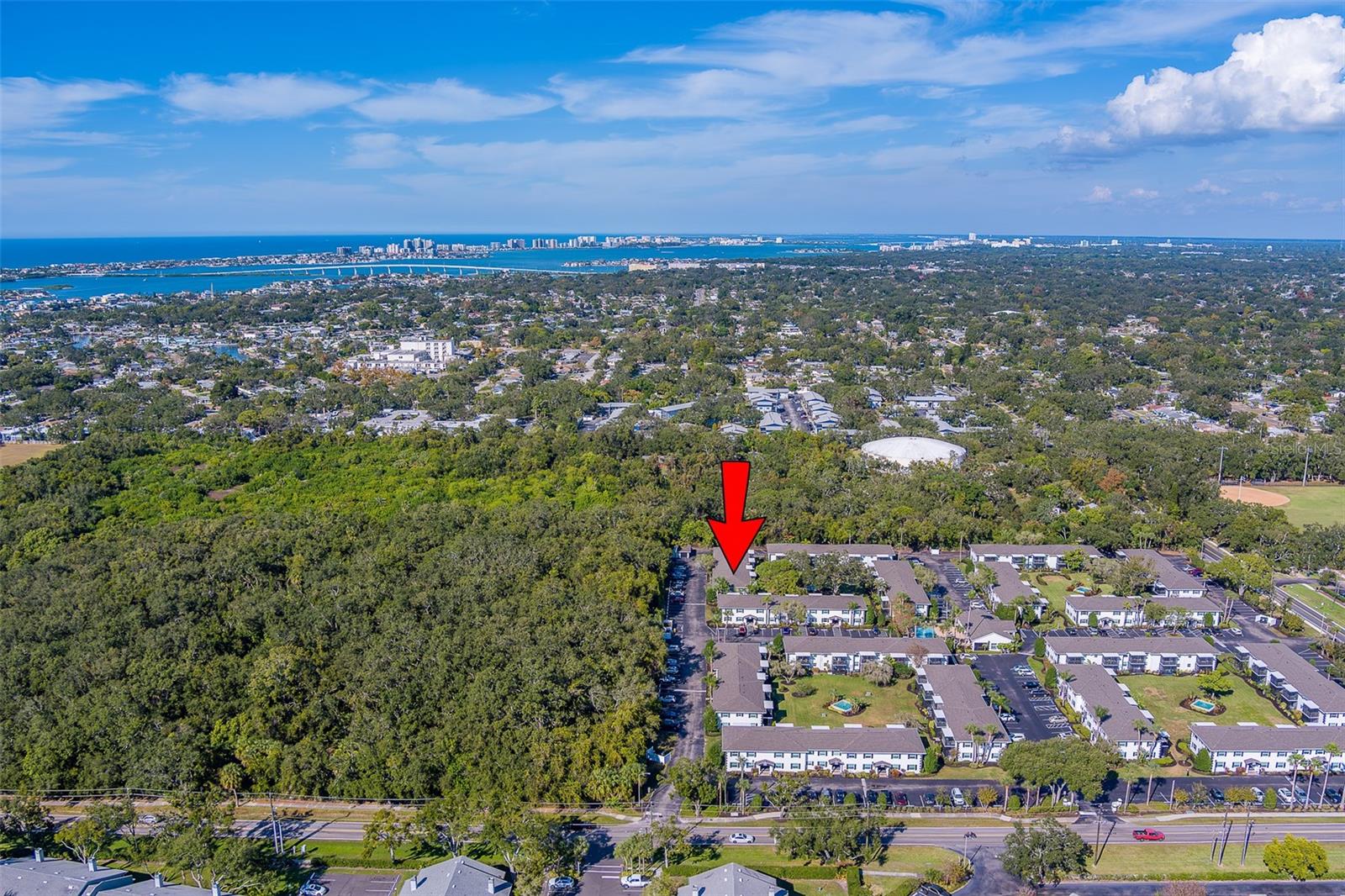 13125 WILCOX RD #16105, LARGO, FL — photo 65