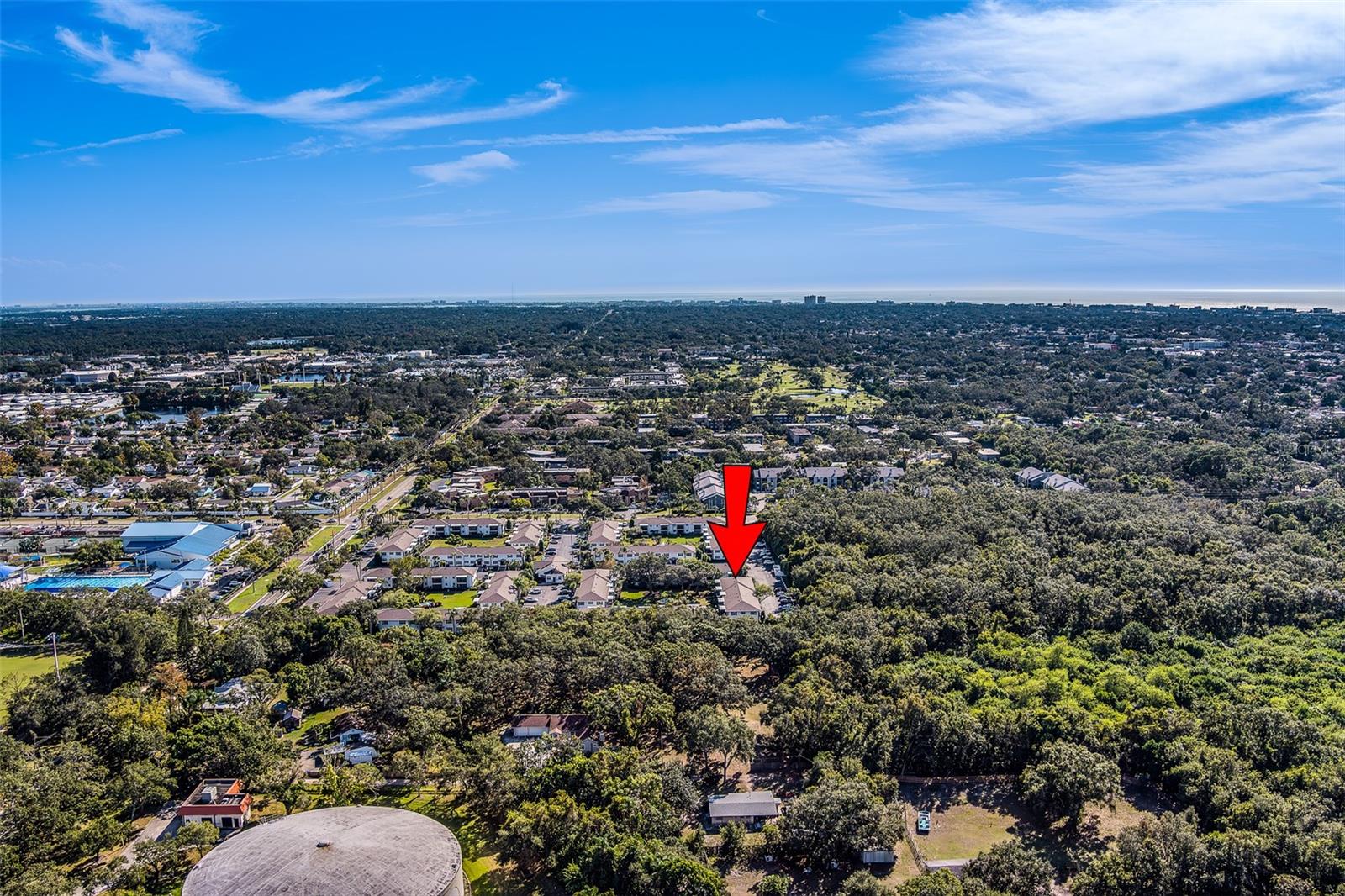 13125 WILCOX RD #16105, LARGO, FL — photo 66
