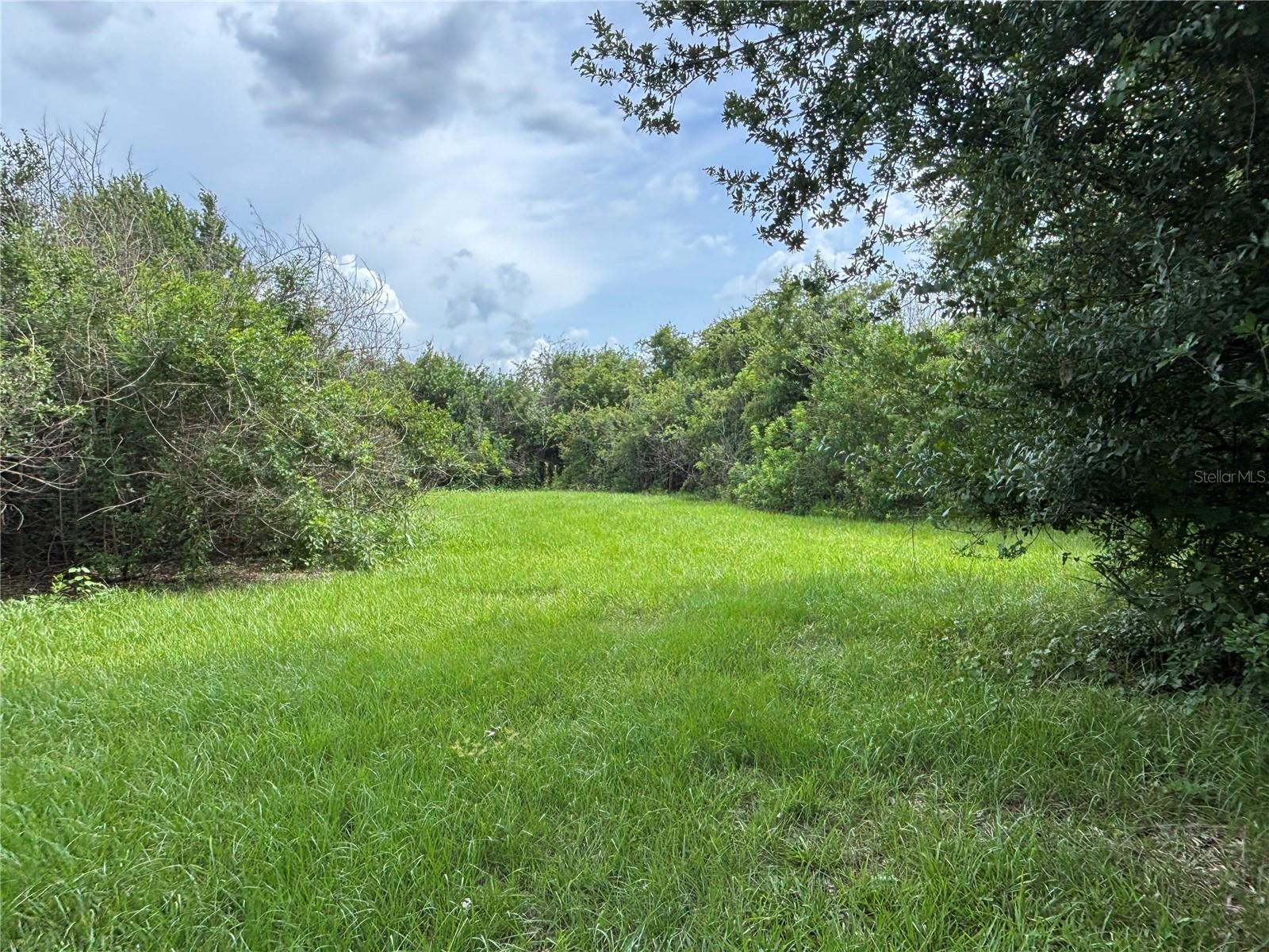 4670 ANDERSON RD, KISSIMMEE, FL — photo 40