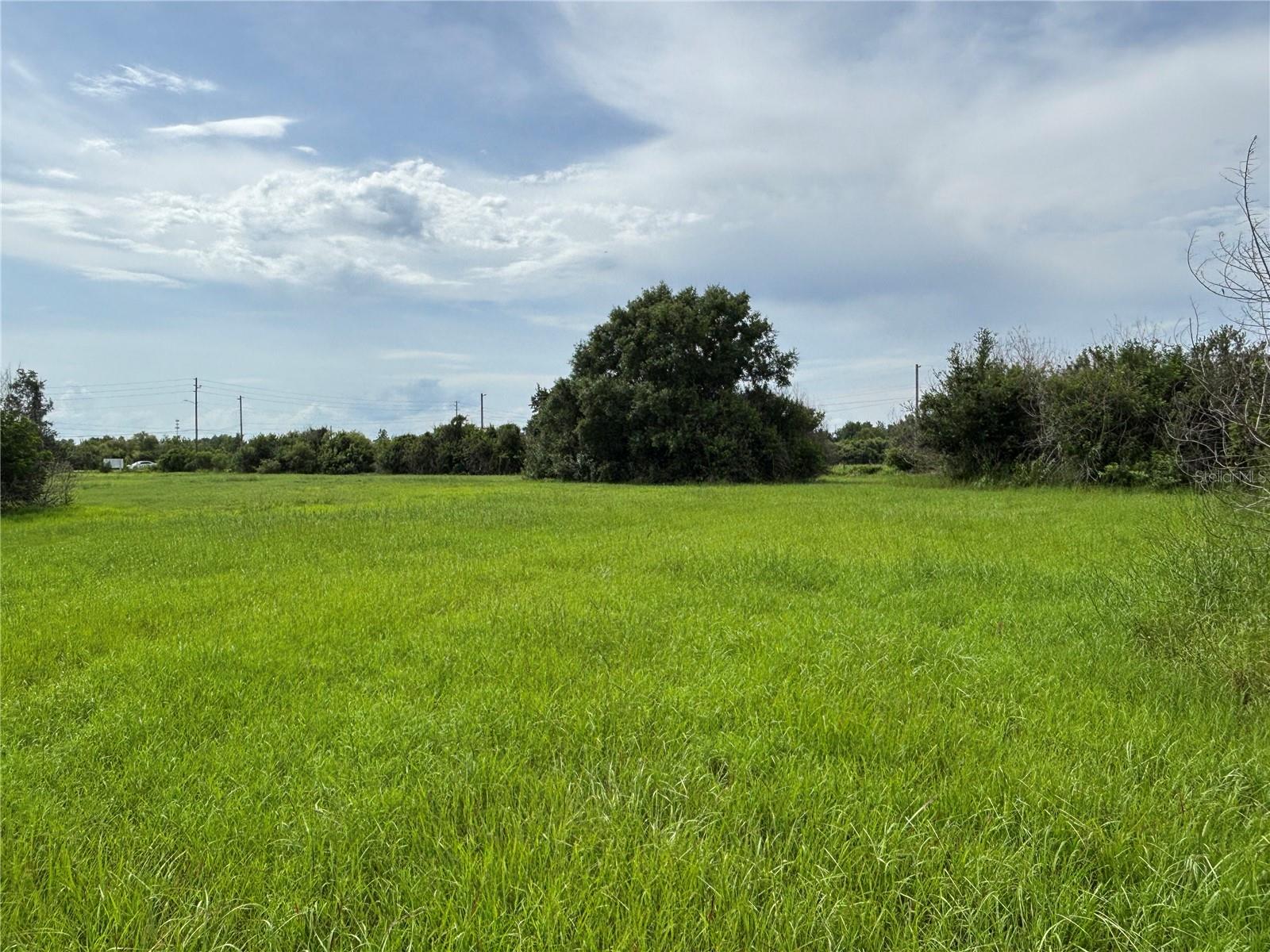 4670 ANDERSON RD, KISSIMMEE, FL — photo 42