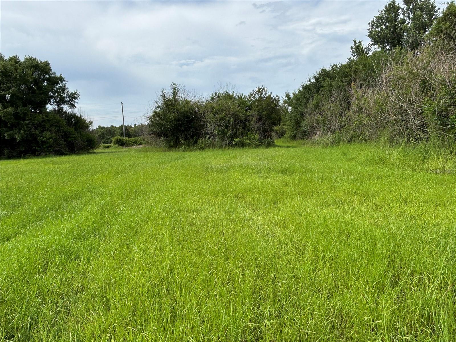 4670 ANDERSON RD, KISSIMMEE, FL — photo 43
