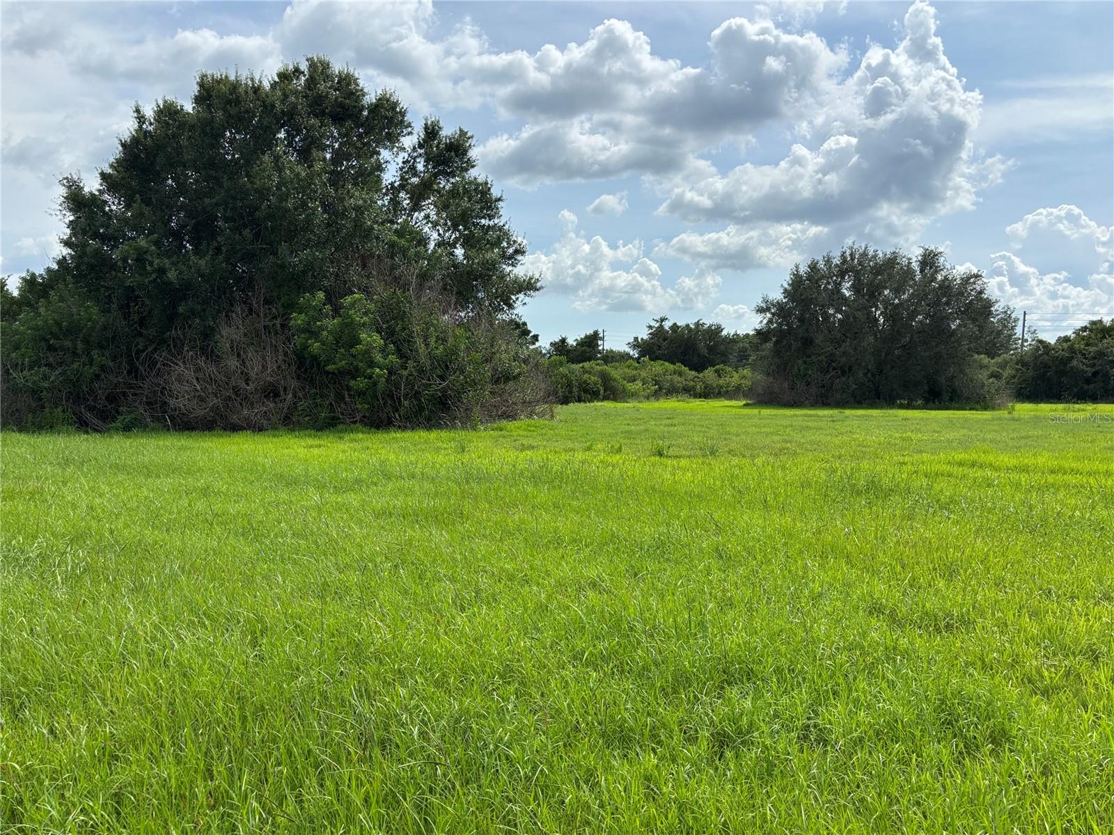 4670 ANDERSON RD, KISSIMMEE, FL — photo 47
