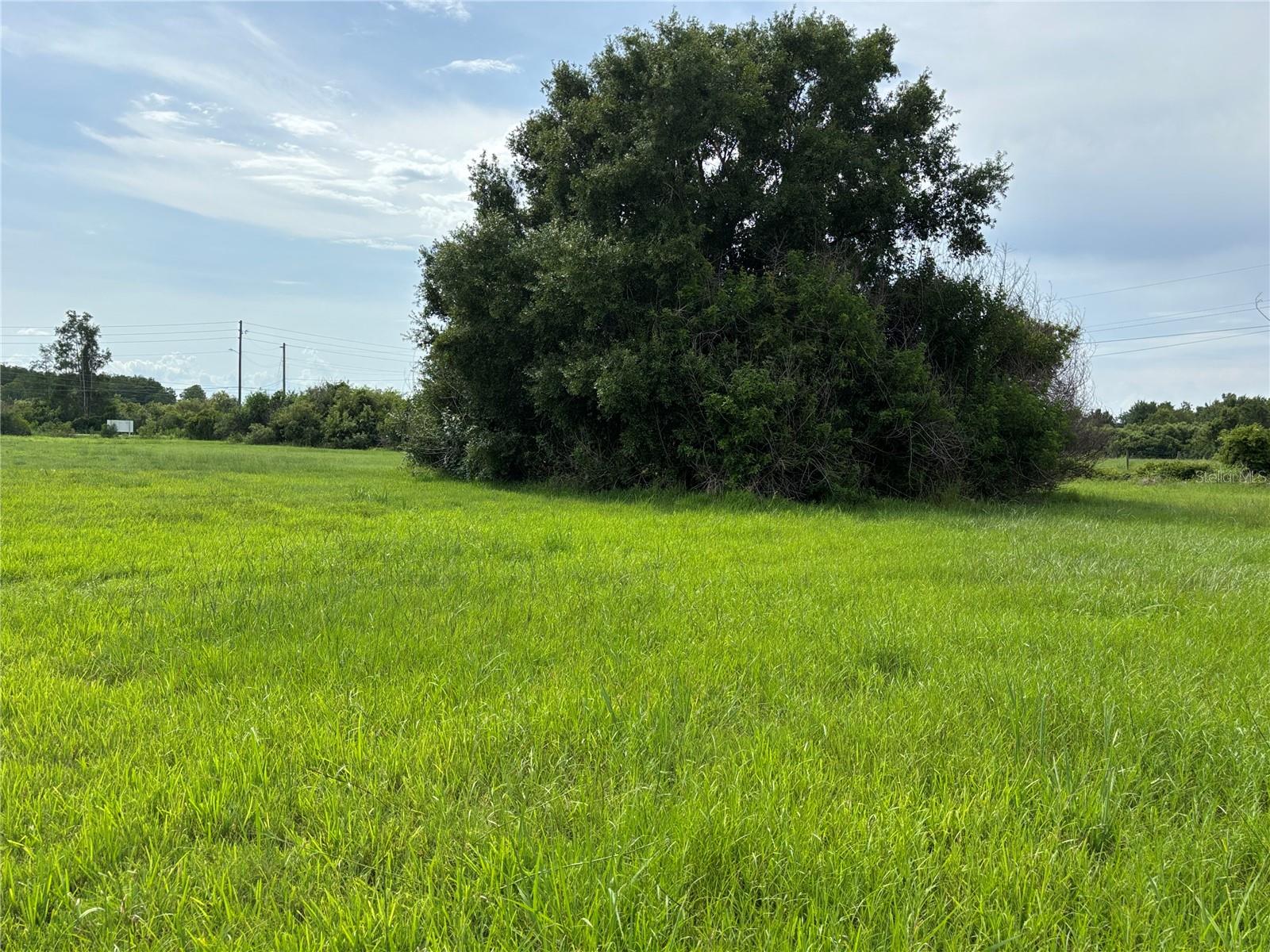 4670 ANDERSON RD, KISSIMMEE, FL — photo 49