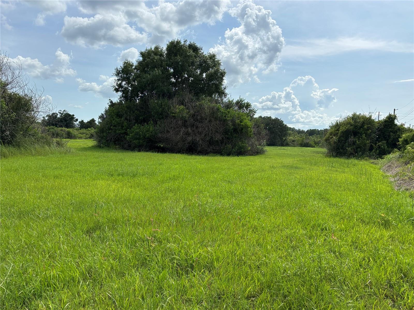 4670 ANDERSON RD, KISSIMMEE, FL — photo 52