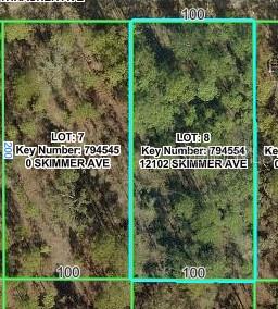 12102 SKIMMER AVE, WEEKI WACHEE, FL — photo 3