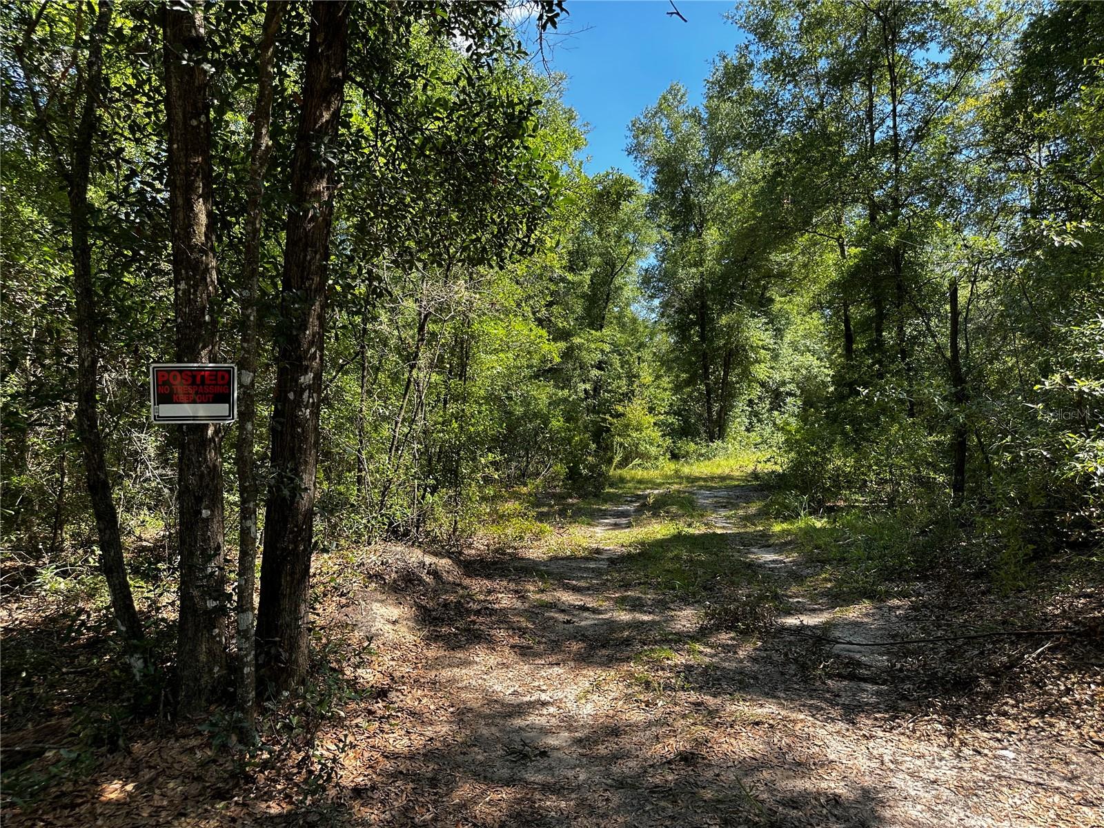 TBD NE 81ST ST, BRONSON, FL — photo 3