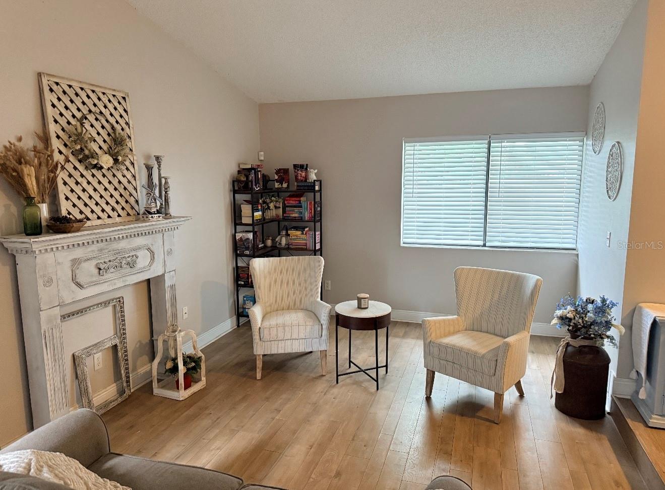 4303 ELLENVILLE PL, VALRICO, FL — photo 4