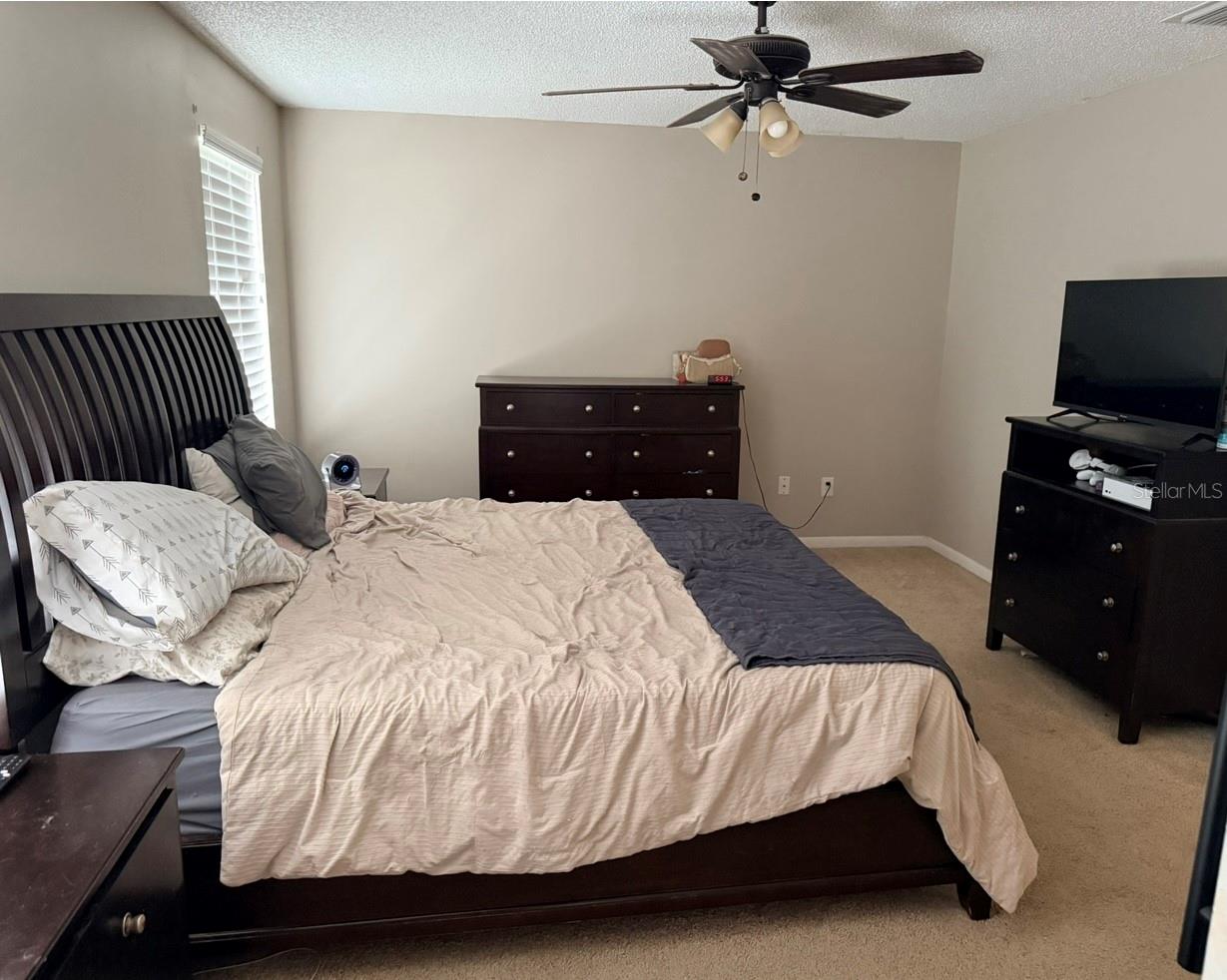 4303 ELLENVILLE PL, VALRICO, FL — photo 8