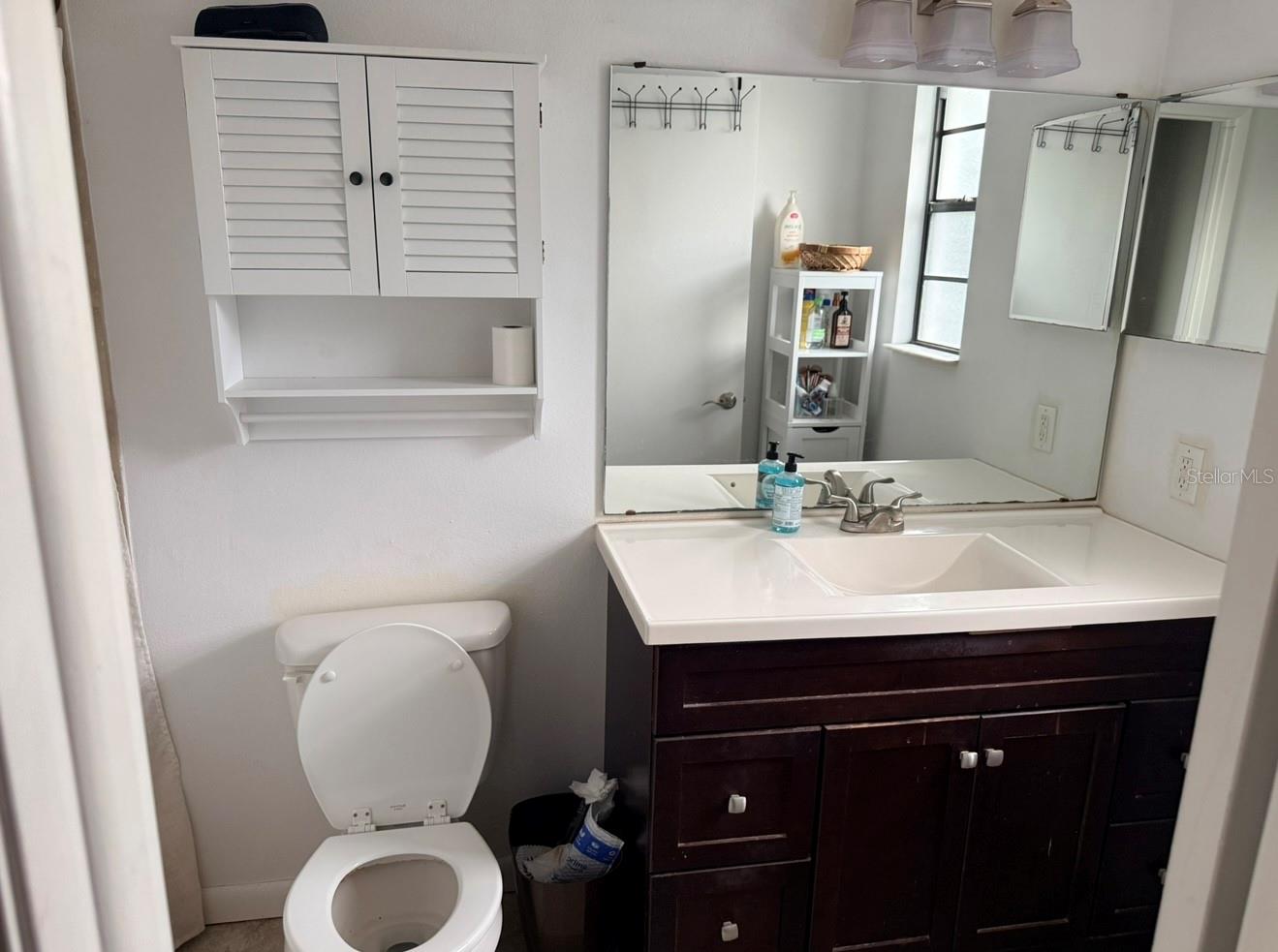 4303 ELLENVILLE PL, VALRICO, FL — photo 15