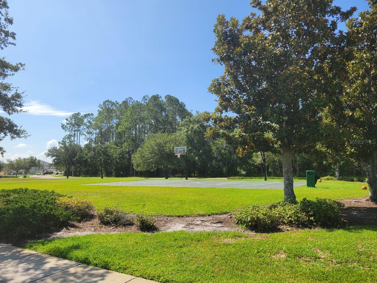30541 NORSEMAN PL, WESLEY CHAPEL, FL — photo 34