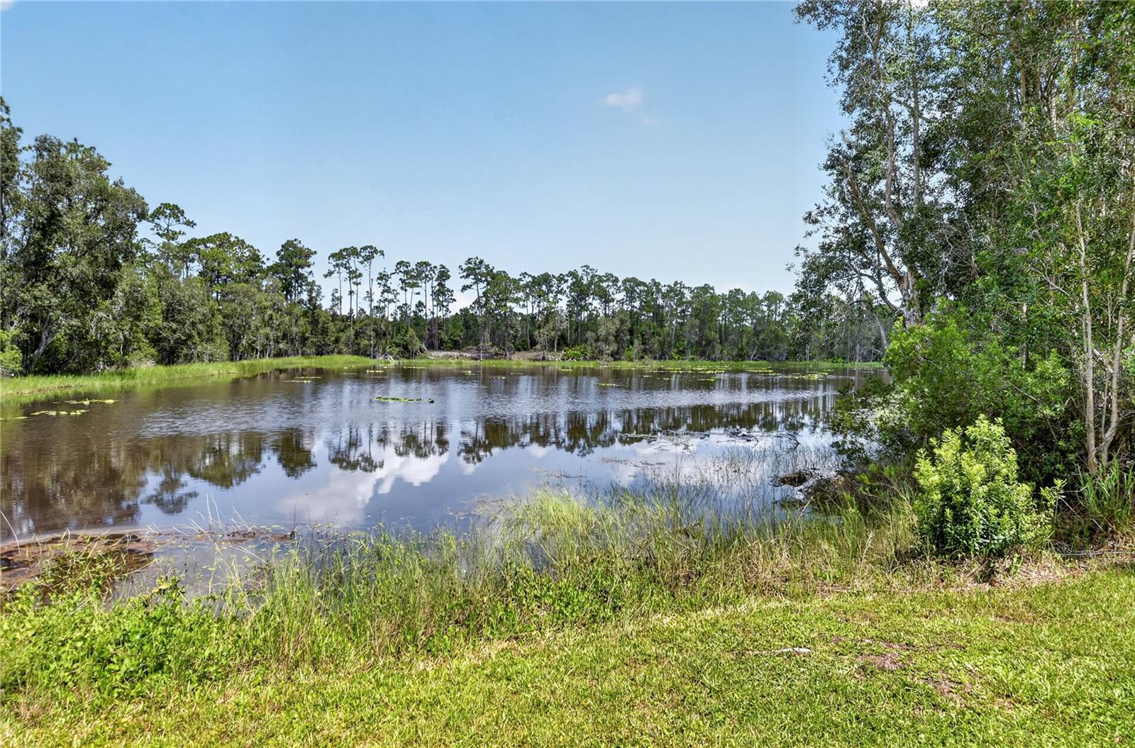 12141 BUENOS CT, PUNTA GORDA, FL — photo 46