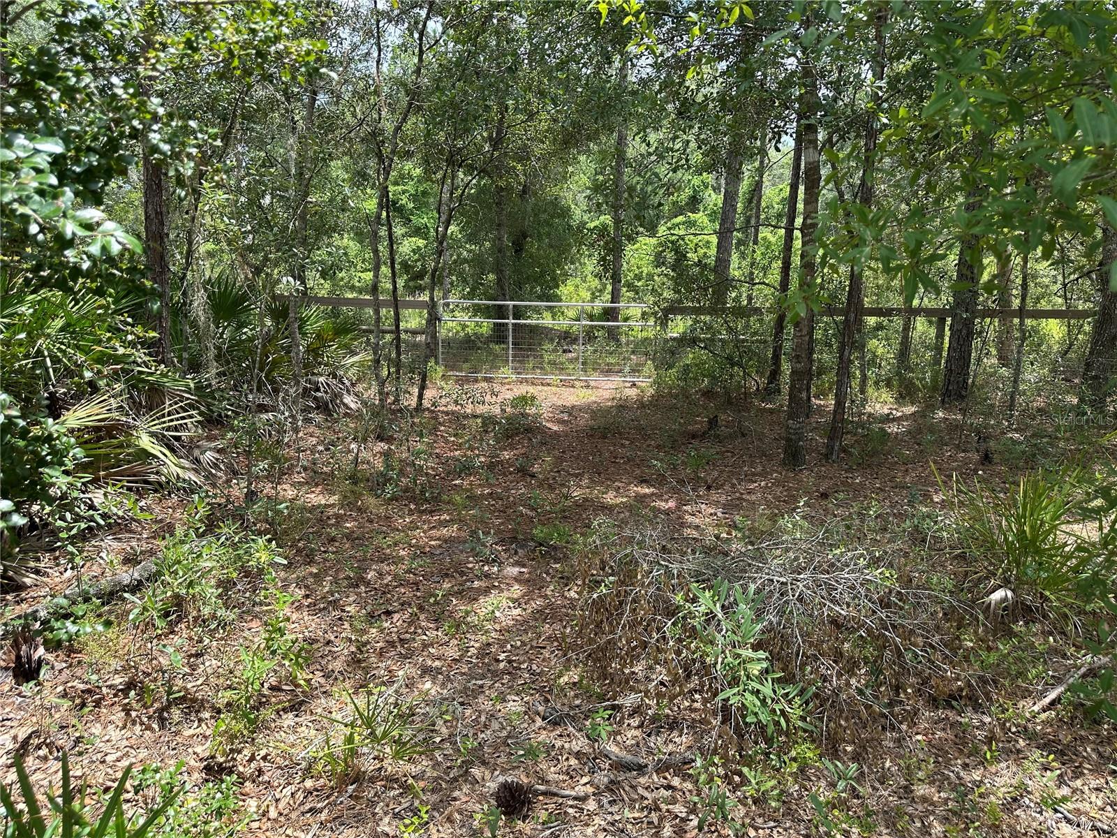 5730 SE COUNTY ROAD 337, MORRISTON, FL — photo 11