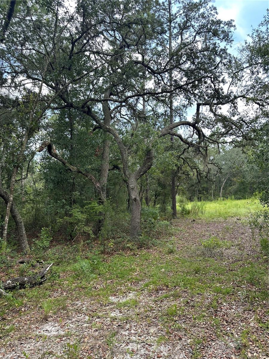 5730 SE COUNTY ROAD 337, MORRISTON, FL — photo 20