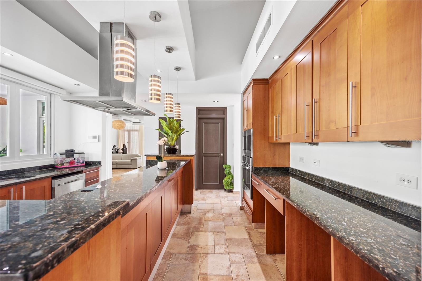 35 PASEO LAS PALMAS, DORADO, PR — photo 17