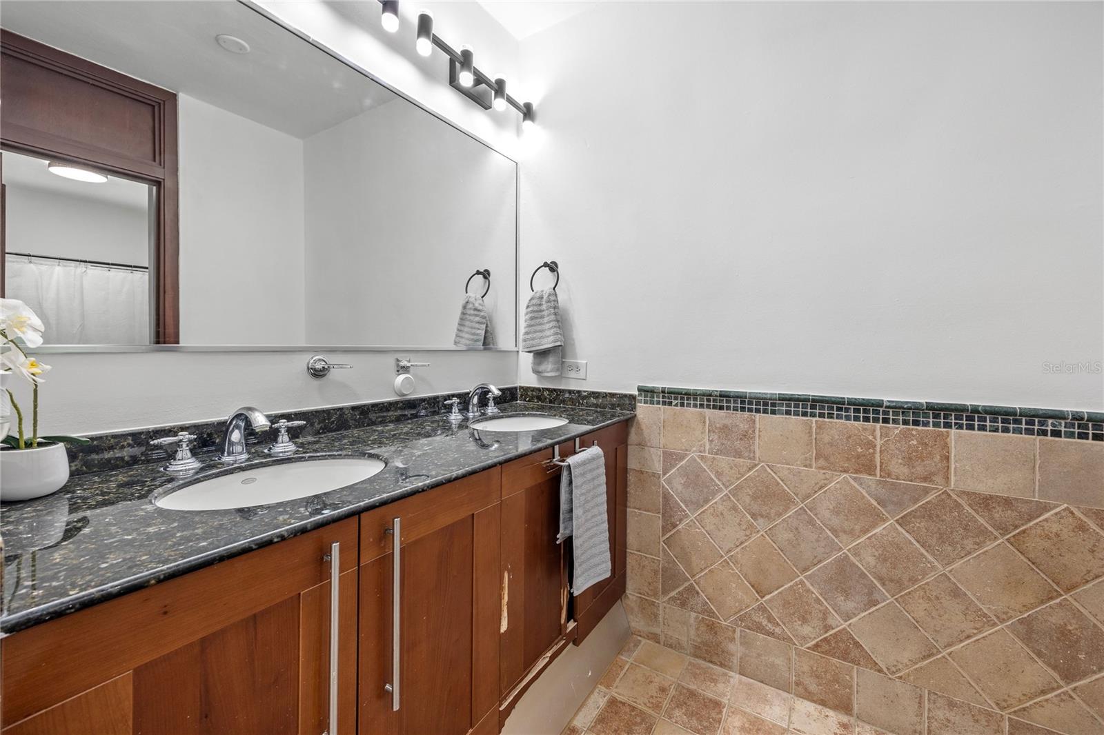 35 PASEO LAS PALMAS, DORADO, PR — photo 36
