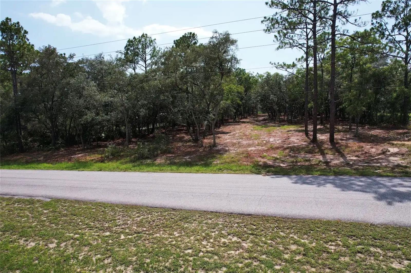 4546 S EVERGREEN AVE, HOMOSASSA, FL — photo 4