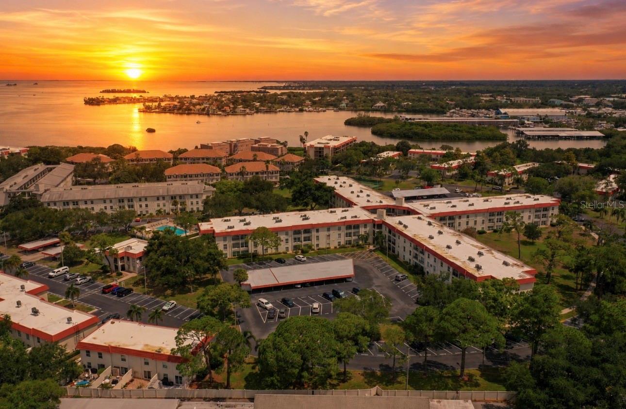 2700 BAYSHORE BLVD #2110, DUNEDIN, FL