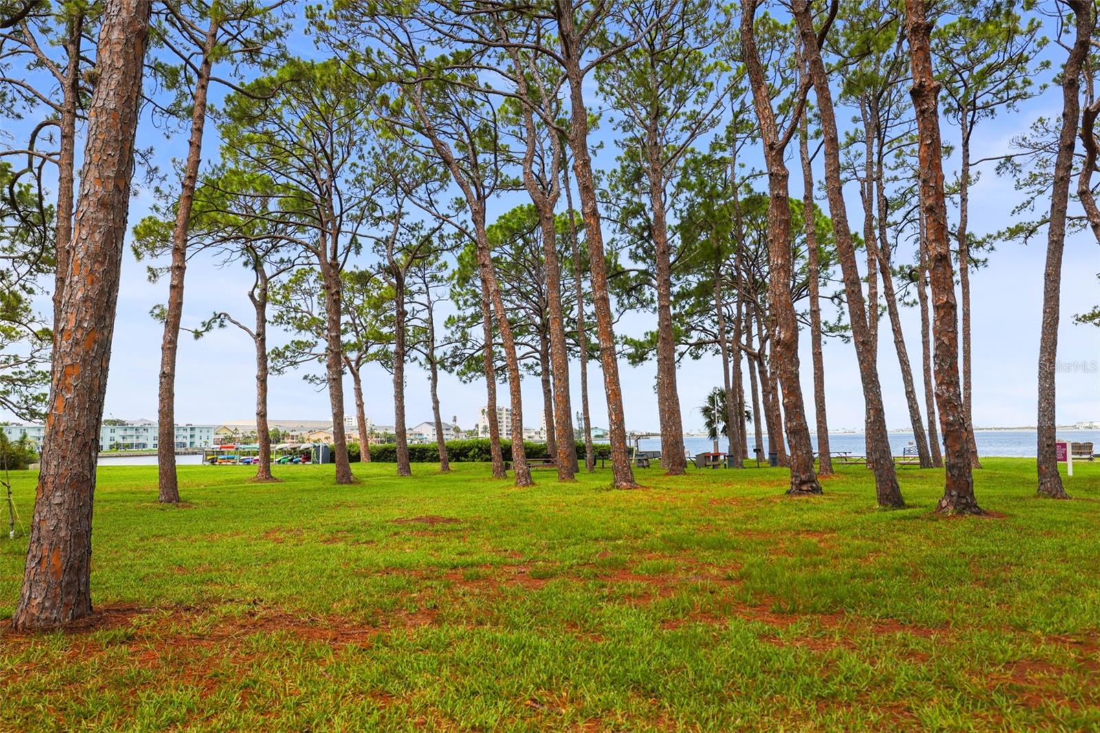 2700 BAYSHORE BLVD #2110, DUNEDIN, FL — photo 58