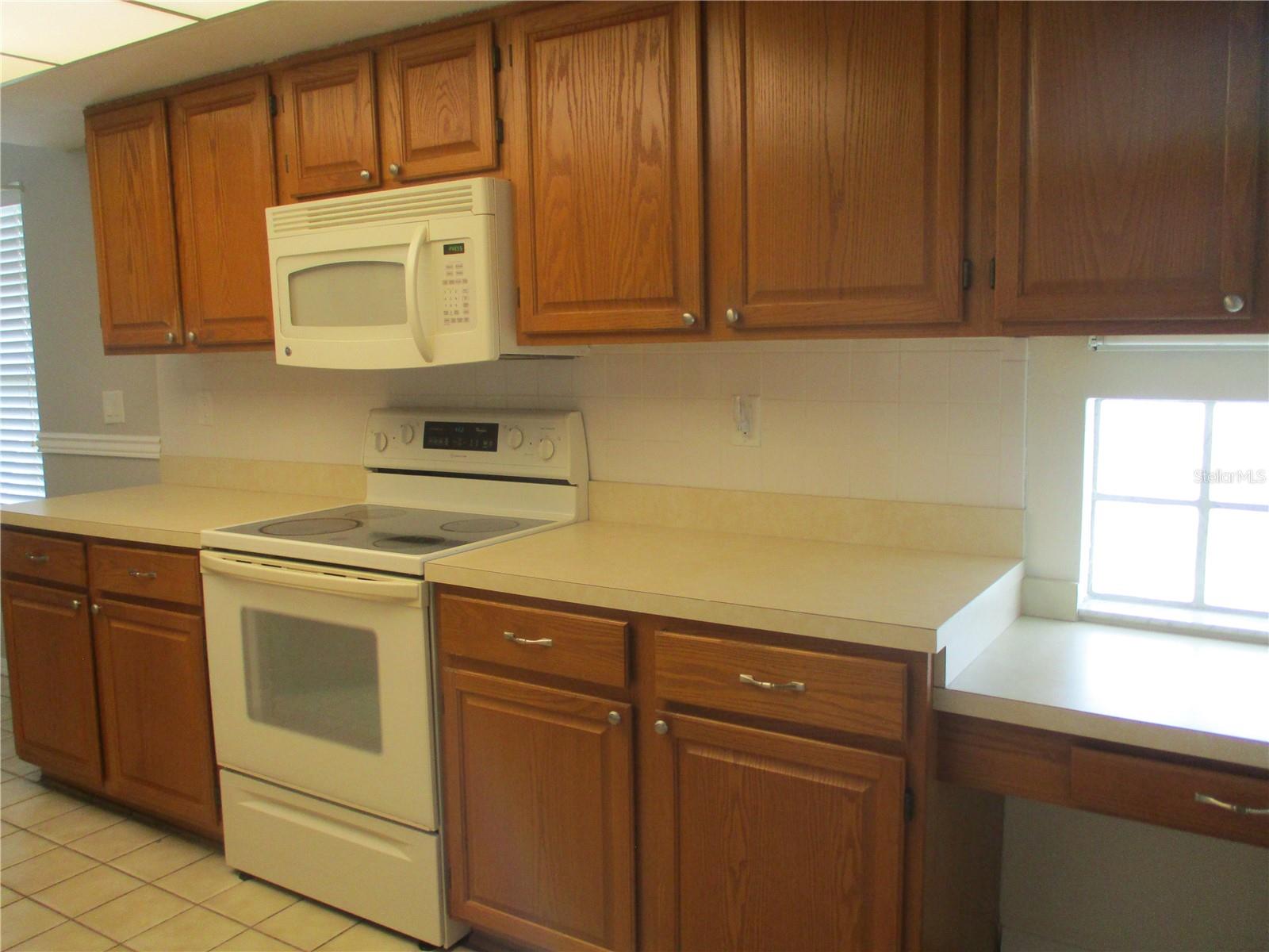 209 N BROCKFIELD DR, SUN CITY CENTER, FL — photo 9