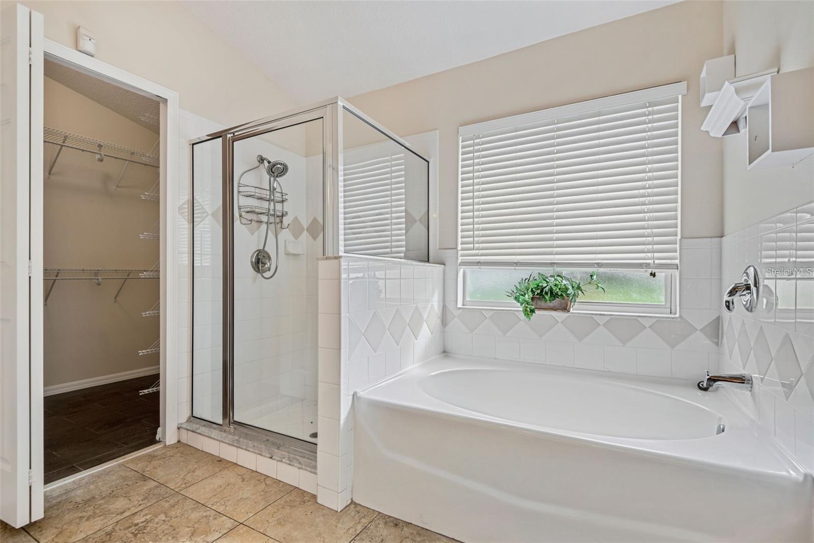 4007 HARBOR LAKE DR, LUTZ, FL — photo 17