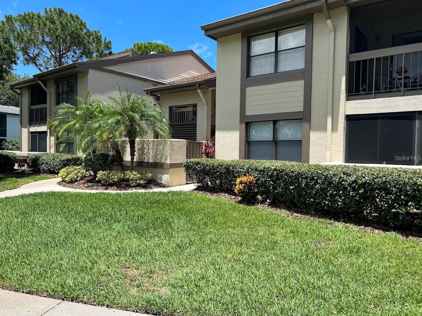 333 WOODLAKE WYNDE, OLDSMAR, FL — photo 2