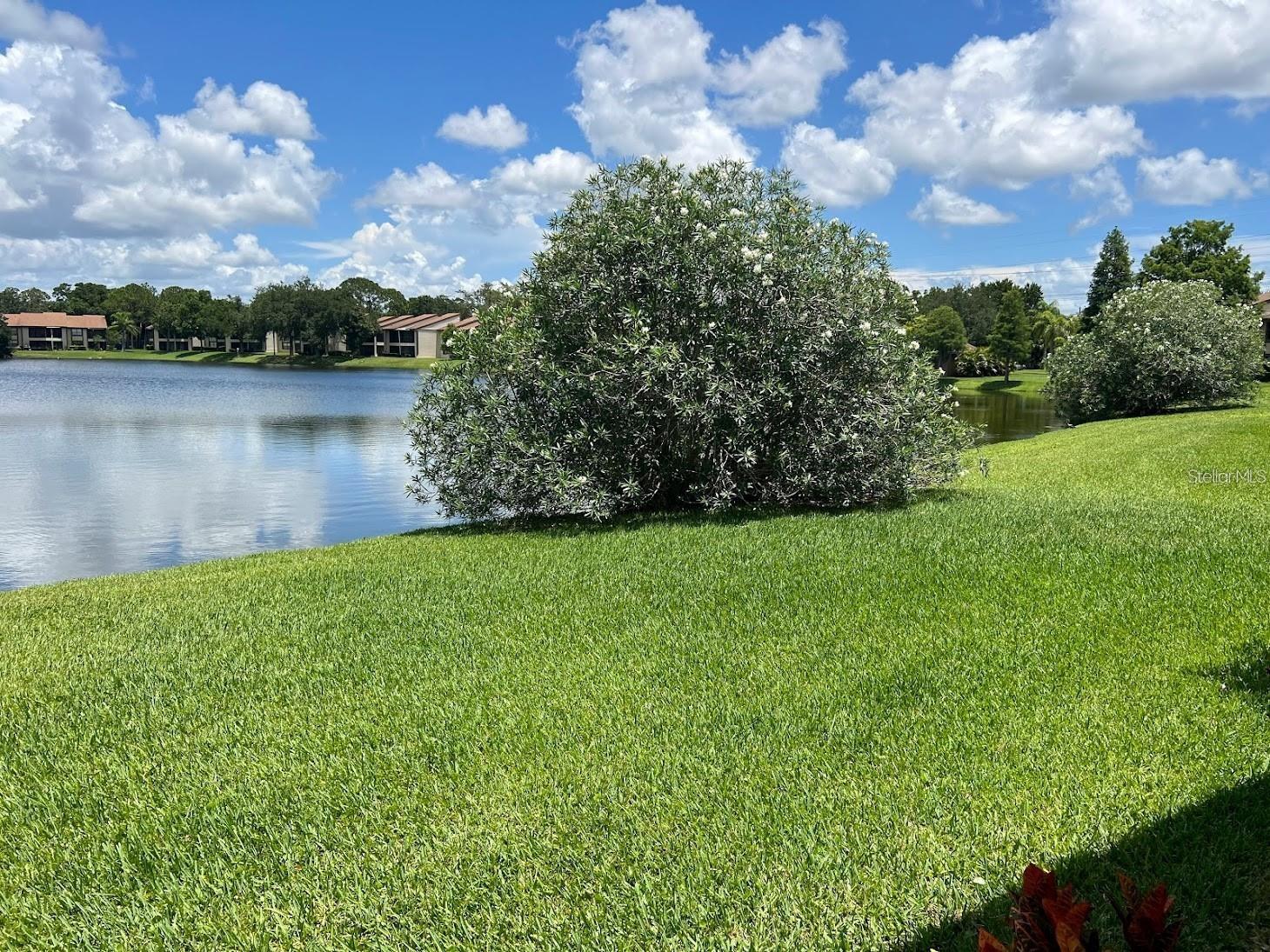 333 WOODLAKE WYNDE, OLDSMAR, FL — photo 32