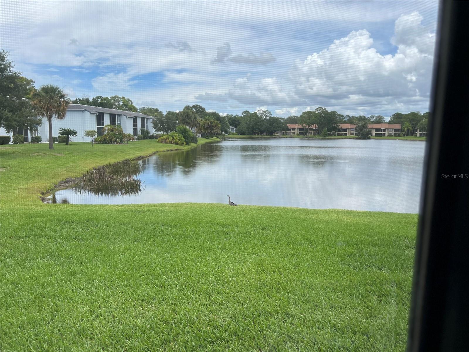 333 WOODLAKE WYNDE, OLDSMAR, FL — photo 33