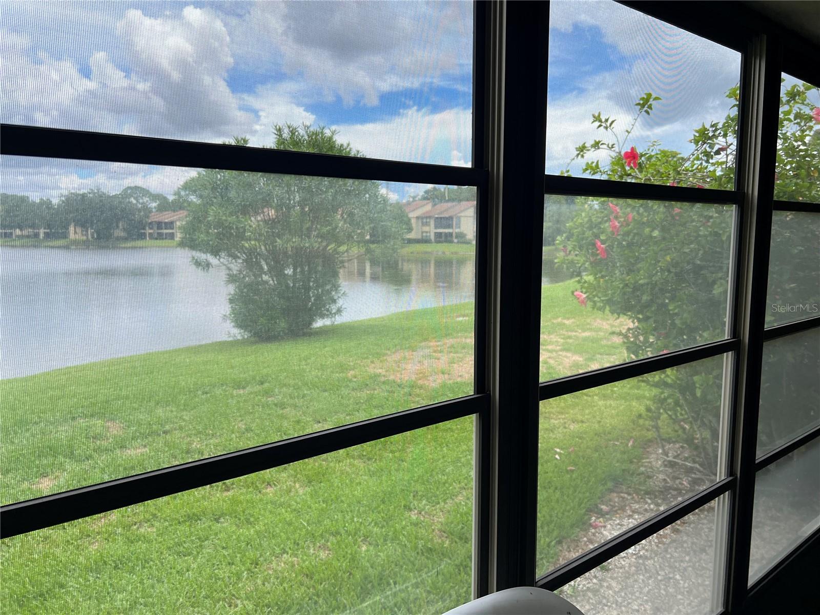 333 WOODLAKE WYNDE, OLDSMAR, FL — photo 38