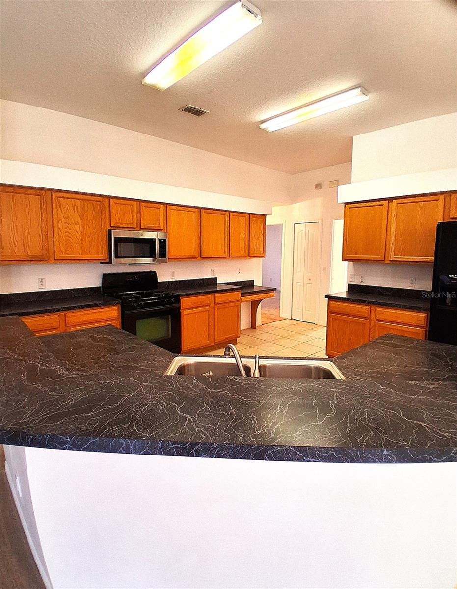 771 MOUNTAIN ASH, DELTONA, FL — photo 4